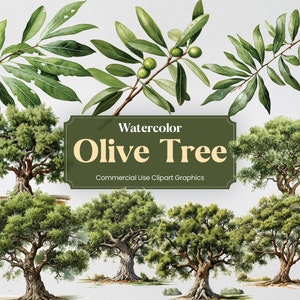 Puede incluir: Ilustración de acuarela de olivos. La imagen presenta una variedad de olivos de diferentes tamaños y formas, con hojas y ramas verdes. El texto "Watercolor Olive Tree" y "Commercial Use Clipart Graphics" se muestra en una pancarta verde.