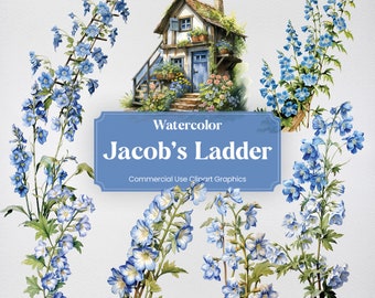 Aquarel Jacobsladder, 20+ Jacobsladders, bloemen planten lente digitale print, clipart PNG transparante achtergrond commercieel gebruik