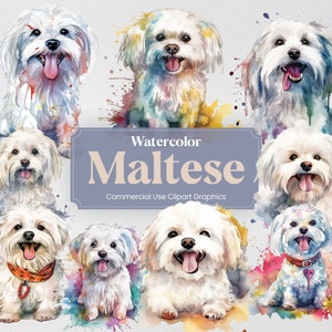 Aquarell Malteser Hund Clipart 22 Tier Digitaldrucke PNG Format Mit 