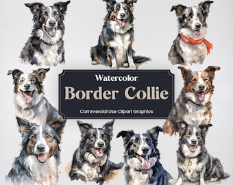 Watercolor Border Collie Dog Clipart, 24 Animal Digital Prints, PNG format with Transparent Background for Commercial Use