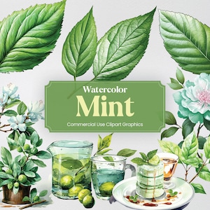 Puede incluir: Ilustraciones de acuarela de hojas de menta, flores y bebidas. El texto "Watercolor Mint Commercial Use Clipart Graphics" se muestra en una pancarta verde.