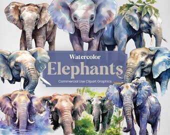 Watercolor Elephant, 24 Jungle Elephants Clipart, Safari Animal Digital Prints, PNG format with Transparent Background for Commercial Use
