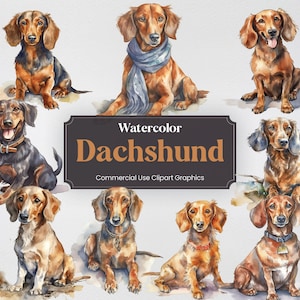 Aquarell Dackel Hund Clipart, 23 Dackel Digital Clip Art, PNG Format mit transparentem Hintergrund für kommerzielle Nutzung