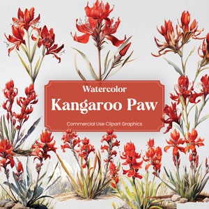 Watercolor Kangaroo Paw, 20+ Kangaroo Paws, Flowers Plants Spring Floral Digital Print, Clipart PNG Transparent Background Commercial Use