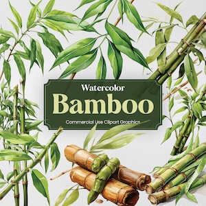 Aquarel Bamboe, 27 Bamboeplanten Houten Bloemen Flora Vegetatie Groenen Digitale Print, Clipart PNG Transparante Achtergrond Commercieel Gebruik