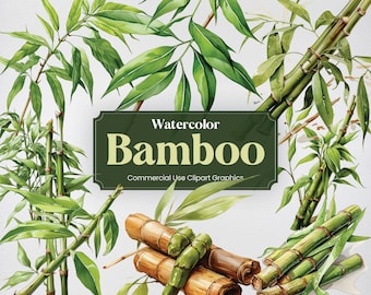 Watercolor Bamboo, 27 Bamboo Plants Wood Flowers Flora Vegetation Greens Digital Print, Clipart PNG Transparent Background Commercial Use