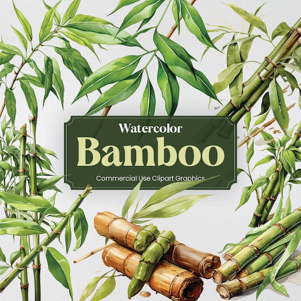 Aquarelle Bambou, 27 Plantes de Bambou Fleurs de Bois Flore Végétation Verts Impression Numérique, Clipart PNG Fond Transparent Utilisation Commerciale