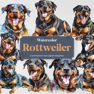 Watercolor Rottweiler Dog Clipart, 24 Animal Digital Prints, PNG format with Transparent Background for Commercial Use