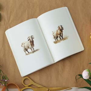 K&ouml;nnte beinhalten: Ein offenes Skizzenbuch mit zwei Aquarellmalereien von Ziegen. Die Ziegen sind wei&szlig; mit braunen Markierungen und stehen auf einem Feld.
