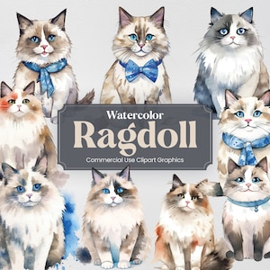 Watercolor Ragdoll Cat, 26 Cats and Kitten Clipart, Cute Animal Digital Prints, PNG format with Transparent Background for Commercial Use