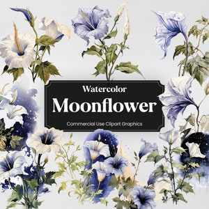 Watercolor Moonflower, 20+ Moonflowers, Flowers Plants Spring Floral Digital Print, Clipart PNG Transparent Background Commercial Use