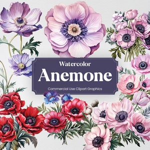 Aquarelle anémone, 28 anémones, fleurs plantes printemps bouquet floral flore impression numérique, Clipart PNG sur fond transparent usage commercial