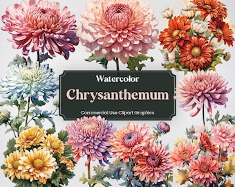 Crisantemo de acuarela, 27 crisantemos plantas flores flora té verdes impresión digital, imágenes prediseñadas PNG fondo transparente uso comercial