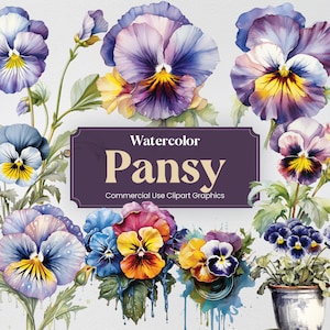 Watercolor Pansy, 28 Pansies Plants Flowers Spring Floral Bouquet Flora Digital Print, Clipart PNG Transparent Background Commercial Use