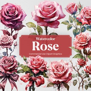 Watercolor Rose, 32 Roses Plants Flowers Spring Floral Bouquet Flora Digital Print, Clipart PNG Transparent Background Commercial Use