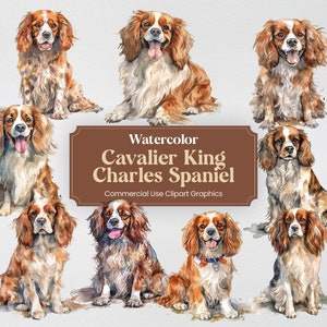 Watercolor Cavalier King Charles Spaniel Dog Clipart, 23 Animal Digital Clip Art, PNG format with Transparent Background for Commercial Use