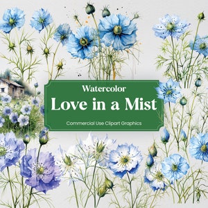 Aquarela Amor em uma Névoa, 20+ Amor em uma Névoa, Flores Plantas Primavera Impressão Digital, Clipart PNG Fundo Transparente Uso Comercial