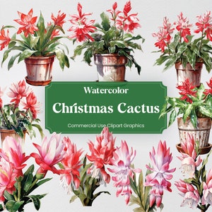 Acuarela Cactus de Navidad, 28 Cactus de Navidad, Flores Plantas Primavera Floral Impresión Digital, Clipart PNG Fondo Transparente Comercial