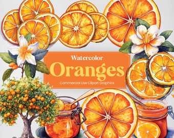 Watercolor Orange, 20 Oranges Fruit Clipart, Plants and Trees Digital Prints, PNG format with Transparent Background for Commercial Use