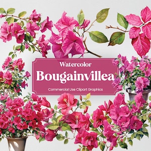 Aquarel Bougainvillea, 28 bloemen planten lente bloemenboeket Flora digitale print, clipart PNG transparante achtergrond commercieel gebruik