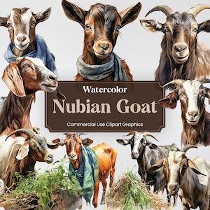 Chèvre nubienne aquarelle, 31 Clipart de chèvre de ferme, impressions numériques d’animaux de grange, format PNG fond Transparent pour un usage commercial