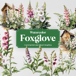 Digitale aquarelle, 20 + digitales, fleurs plantes printemps Floral impression numérique, Clipart PNG sur fond Transparent tout usage commercial
