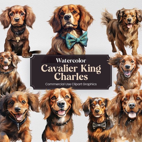 Watercolor Brown Cavalier King Charles Spaniel Dog Clipart, 36 Animal Digital Clip Art, PNG with Transparent Background for Commercial Use