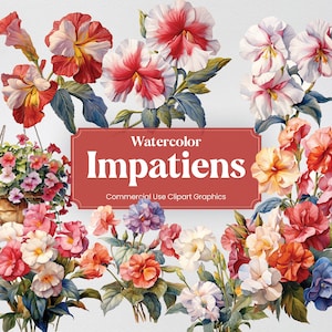 水彩インパチェンス、20 種類以上のインパチェンス、花植物春の花のデジタルプリント、クリップアート PNG 透明な背景の商用利用