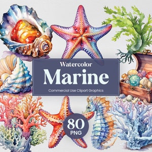 Acuarela Océano Marino, 80 Mega Pack, Algas Marinas, Concha, Coral, Impresión Digital de Pecho, Formato PNG Clipart Fondo Transparente Uso Comercial