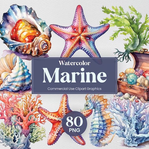 Watercolor Marine Ocean, 80 Mega Pack, Sea Weed, Shell, Coral, Chest Digital Print, Clipart PNG format Transparent Background Commercial Use