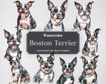 Watercolor Boston Terrier Dog Clipart, 23 Animal Digital Prints, PNG format with Transparent Background for Commercial Use