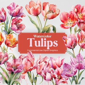 Watercolor Tulips, 28 Tulip Plants Flowers Spring Floral Bouquet Flora Digital Print, Clipart PNG Transparent Background Commercial Use