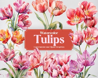 Watercolor Tulips, 28 Tulip Plants Flowers Spring Floral Bouquet Flora Digital Print, Clipart PNG Transparent Background Commercial Use