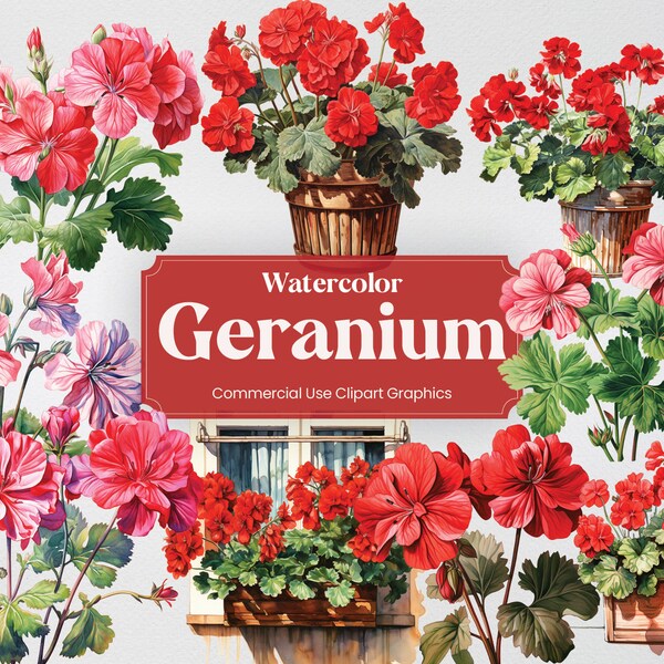 Watercolor Geranium, 27 Crane's Bill Plant Flowers Spring Flora Vegetation Digital Print, Clipart PNG Transparent Background Commercial Use