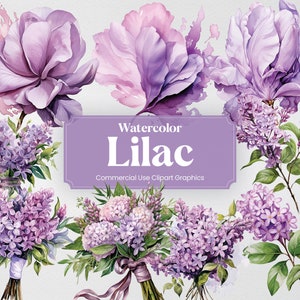 Acuarela Lila, 27 Lilas Plantas Flores Primavera Floral Ramo Flora Impresión Digital, Clipart PNG Fondo Transparente Uso Comercial