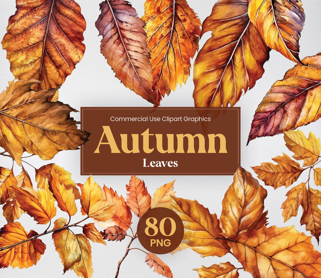 Watercolor Fall Leaves Clipart, 80 Autumn Leaf Bundle. Flora Digital ...