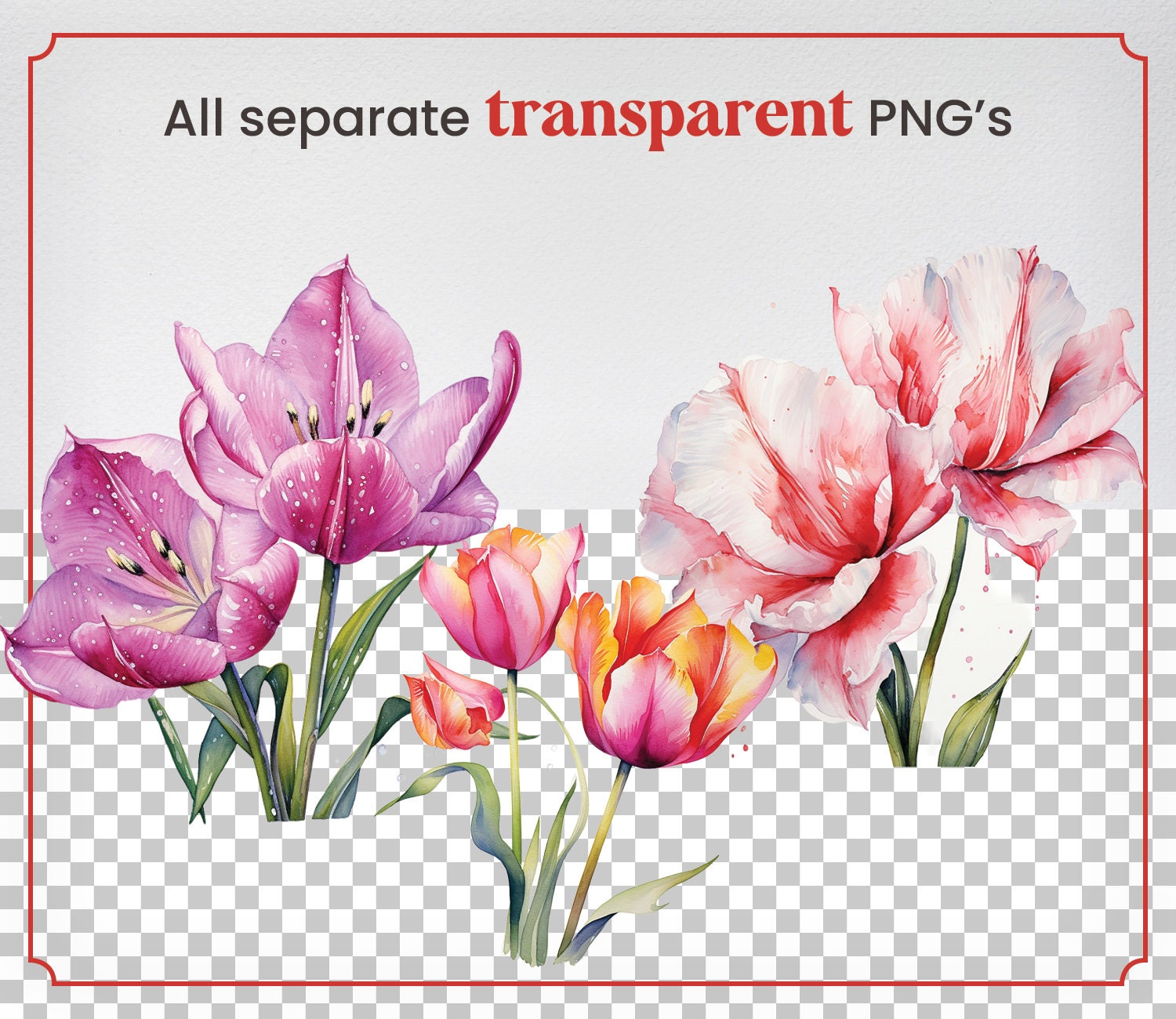 Watercolor Tulips, 28 Tulip Plants Flowers Spring Floral Bouquet Flora ...