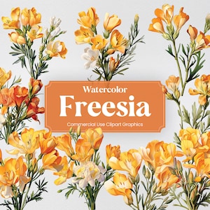 Watercolor Freesia, 20+ Freesias, Flowers Plants Spring Floral Digital Print, Clipart PNG Transparent Background Commercial Use