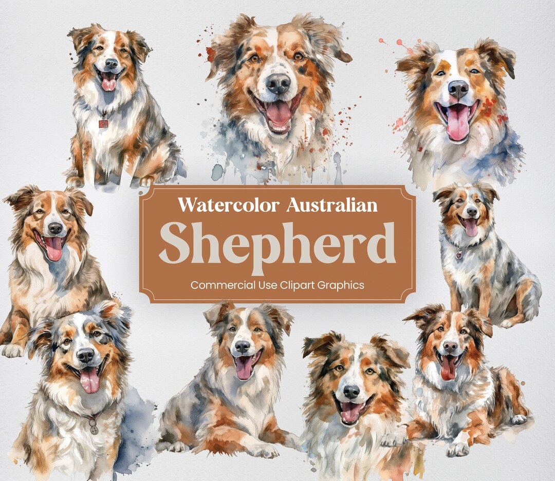 Watercolor Australian Shepherd 22 Dog Clipart Animal Digital Etsy