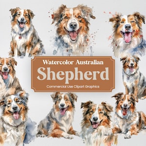 Watercolor Australian Shepherd, 22 Dog Clipart, Animal Digital Prints, PNG format with Transparent Background for Commercial Use