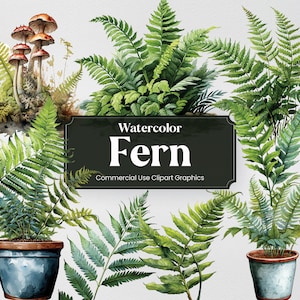 Fougère aquarelle, 27 fougères plantes fleurs flore printanière végétation verts impression numérique, Clipart PNG fond transparent utilisation commerciale