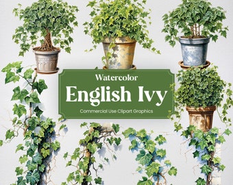 Watercolor English Ivy, 28 English Ivies, Flowers Plants Spring Floral Flora Digital Print, Clipart PNG Transparent Background Commercial