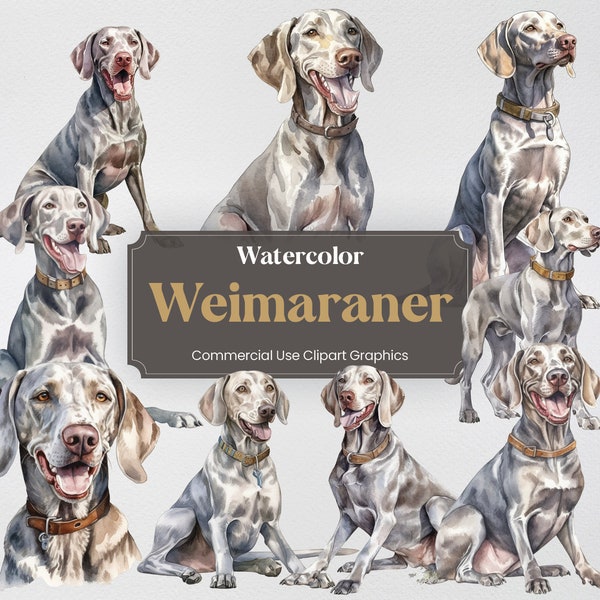 Watercolor Weimaraner Dog Clipart, 22 Animal Digital Prints, PNG format with Transparent Background for Commercial Use