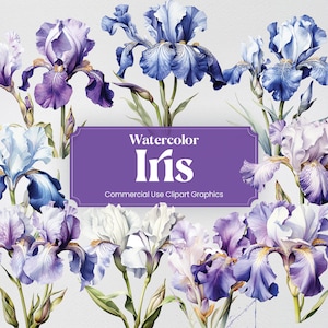 Watercolor Iris, 27 Irises Plants Flowers Spring Flora Vegetation Greens Digital Print, Clipart PNG Transparent Background Commercial Use