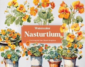 Aquarell Kapuzinerkresse, 20+ Kapuzinerkresse, Blumen Pflanzen Frühling Floral Digitaldruck, Clipart PNG transparenter Hintergrund kommerzielle Nutzung