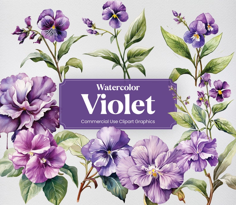 Watercolor Violet, 20+ Violets, Flowers Plants Spring Floral Digital ...