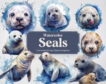 Watercolor Seal, 25 Cute Baby Seals, Digital Marine Animal Prints, Blue Sealion, PNG format Transparent Background for Commercial Use