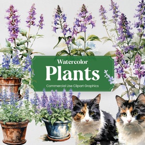 Aquarel katje, 26 kattenkruid, bloemen planten lente bloemen boeket flora digitale print, clipart png transparante achtergrond commercieel gebruik