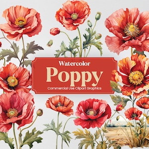 Aquarelle Coquelicot, 27 Coquelicots Plantes Fleurs Printemps Bouquet Floral Flore Impression Numérique, Clipart PNG Fond Transparent Utilisation Commerciale