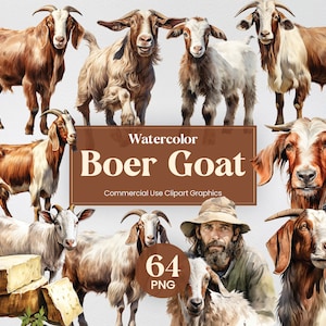 K&ouml;nnte beinhalten: Aquarell-Illustrationen von Boer-Ziegen in verschiedenen Posen. Die Illustrationen sind realistisch gehalten und zeigen eine Vielzahl von Farben, darunter Braun, Wei&szlig; und Schwarz. Der Text "Watercolor Boer Goat" und "Commercial Use Clipart Graphics" ist im Bild enthalten. Es gibt 64 PNG-Dateien.
